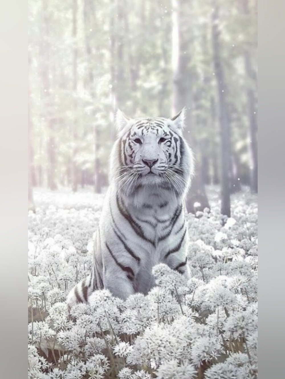 Custom Fridge Magnet White Tiger Home Kitchen Decor